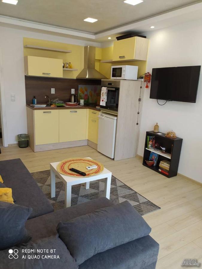 Apartment данделион *